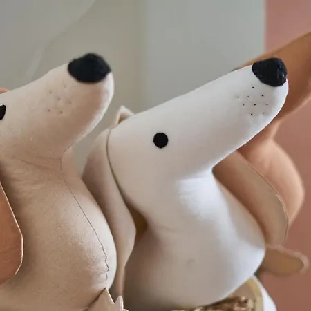 Sztukmistrz Magician Art