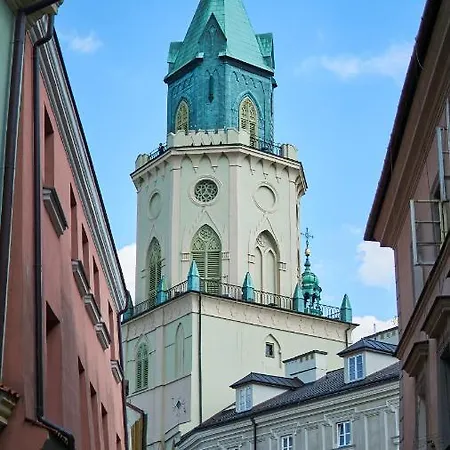 Sztukmistrz Magician Art