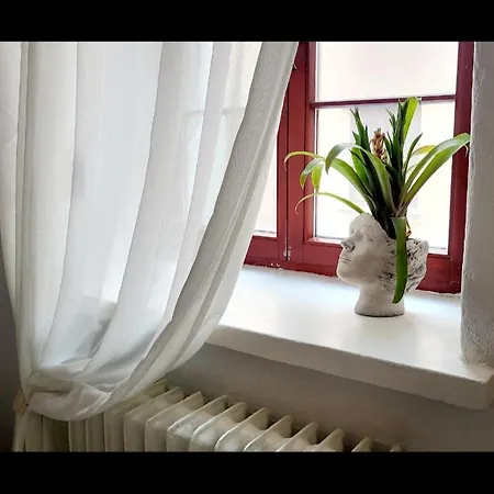 Nocleg ze śniadaniem Sztukmistrz Magician Art