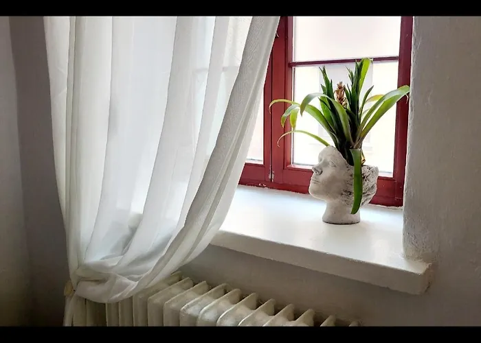 住宿加早餐酒店 Sztukmistrz Magician Art